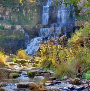 Meet your Posher, Evelina